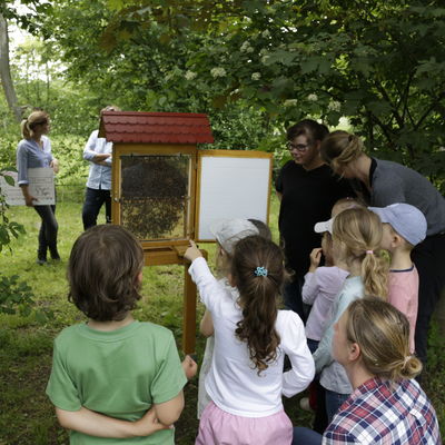 Kinder an der Bienenstation