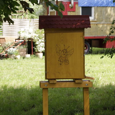 Schaukasten der Bienen