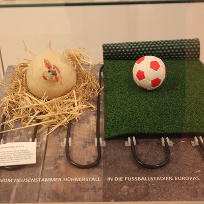 Museum Heusenstamm